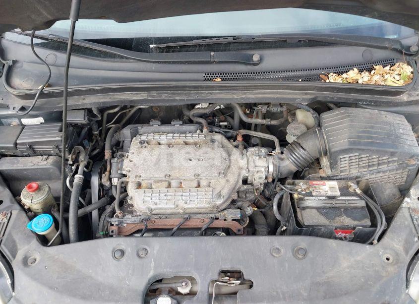 Photo 10 of 2006 Honda Odyssey EX-L (VIN 5FNRL38716B421026)