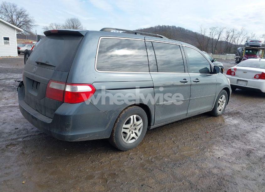 Photo 4 of 2006 Honda Odyssey EX-L (VIN 5FNRL38716B421026)