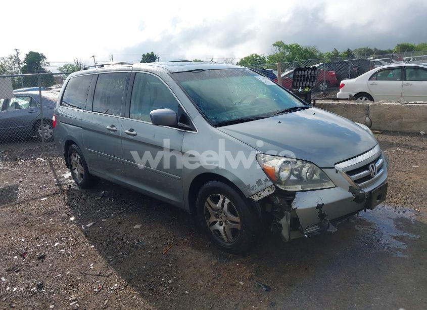 2007 Honda Odyssey EX-L (VIN 5FNRL38717B002725) main photo