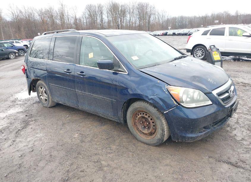 2007 Honda Odyssey EX-L (VIN 5FNRL38717B028175) main photo