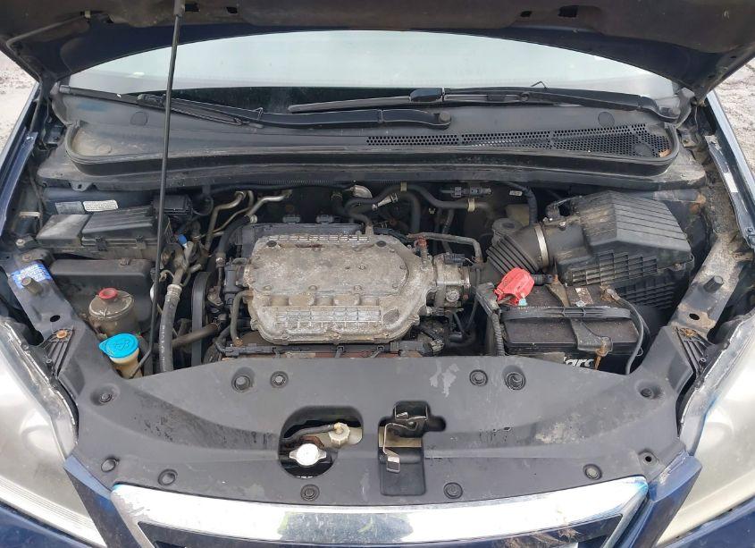 Photo 10 of 2007 Honda Odyssey EX-L (VIN 5FNRL38717B028175)