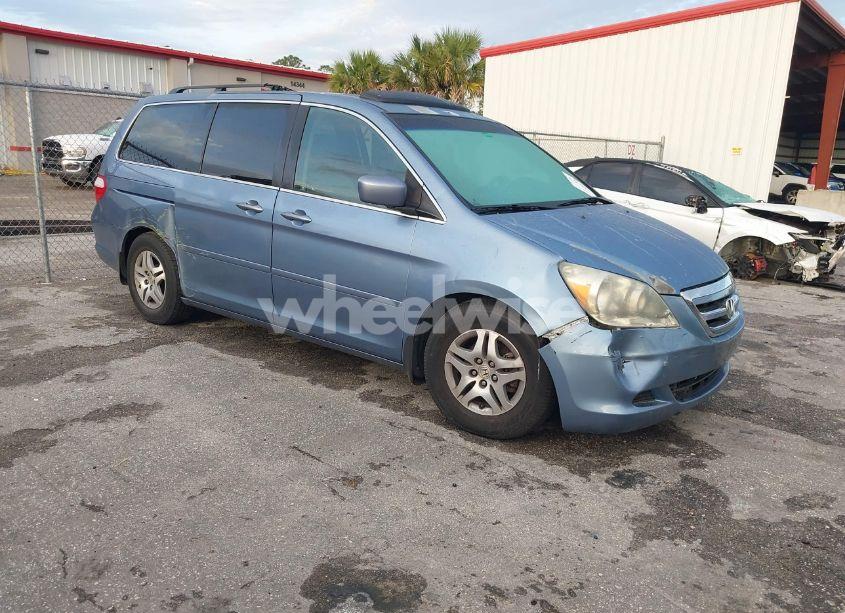 2007 Honda Odyssey EX-L (VIN 5FNRL38717B035384) main photo