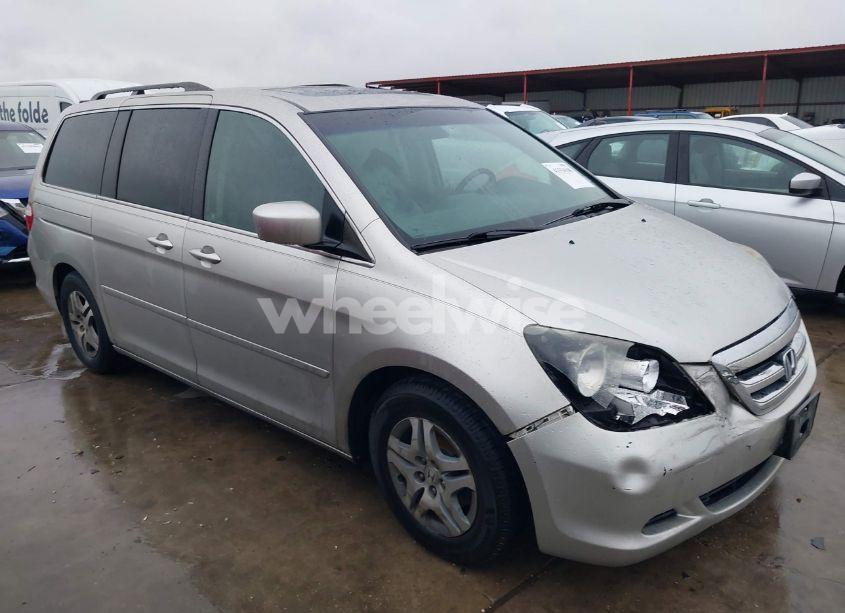 2007 Honda Odyssey EX-L (VIN 5FNRL38717B041654) main photo