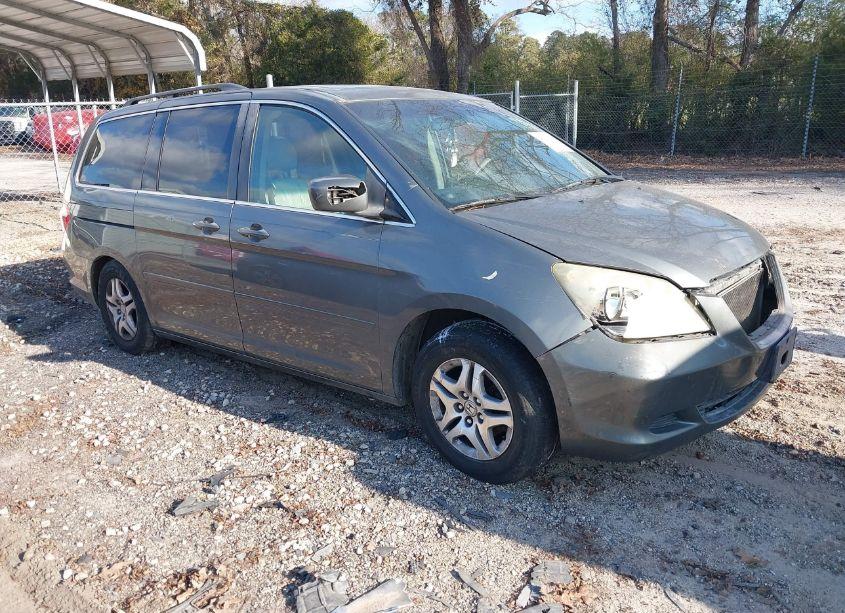 2007 Honda Odyssey EX-L (VIN 5FNRL38717B063377) main photo