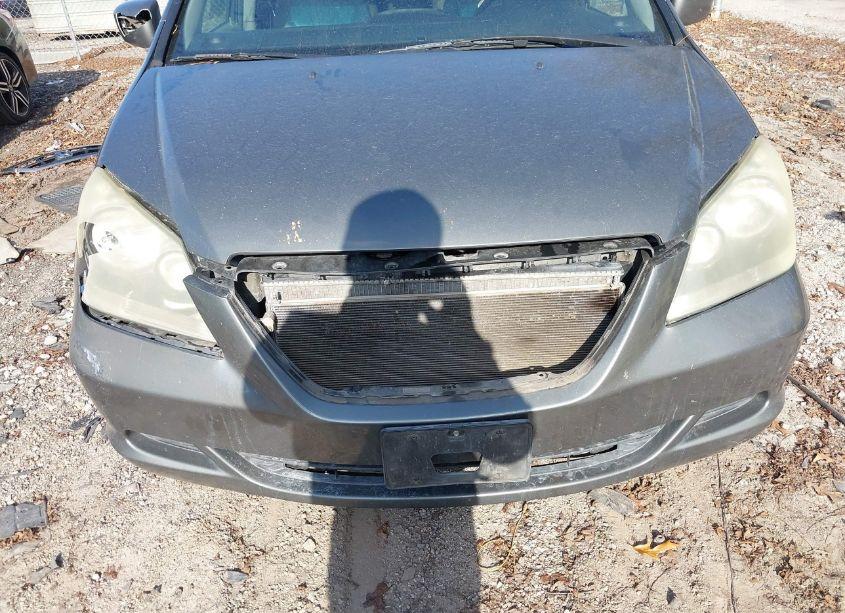 Photo 6 of 2007 Honda Odyssey EX-L (VIN 5FNRL38717B063377)