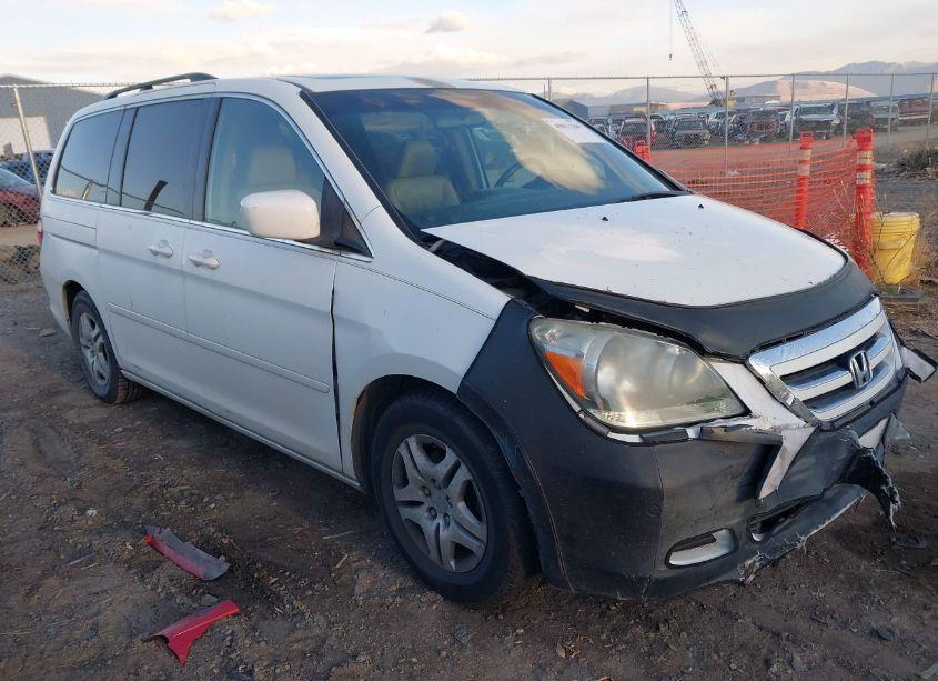 2007 Honda Odyssey EX-L (VIN 5FNRL38717B125487) main photo