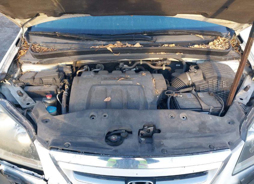 Photo 10 of 2007 Honda Odyssey EX-L (VIN 5FNRL38717B125487)