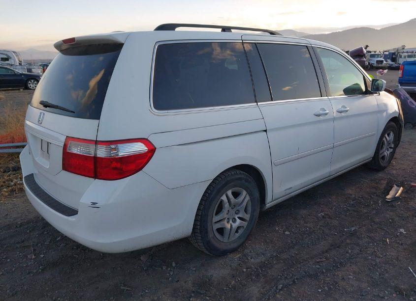 Photo 4 of 2007 Honda Odyssey EX-L (VIN 5FNRL38717B125487)