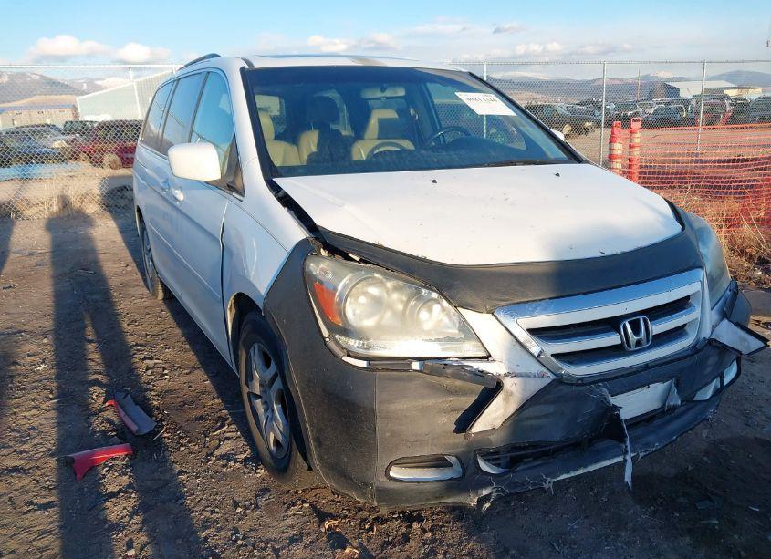 Photo 6 of 2007 Honda Odyssey EX-L (VIN 5FNRL38717B125487)
