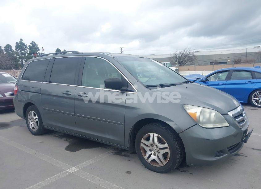 2007 Honda Odyssey EX-L (VIN 5FNRL38717B413493) main photo