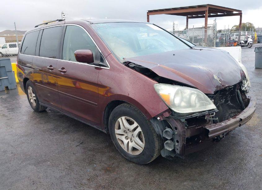2007 Honda Odyssey EX-L (VIN 5FNRL38717B452133) main photo