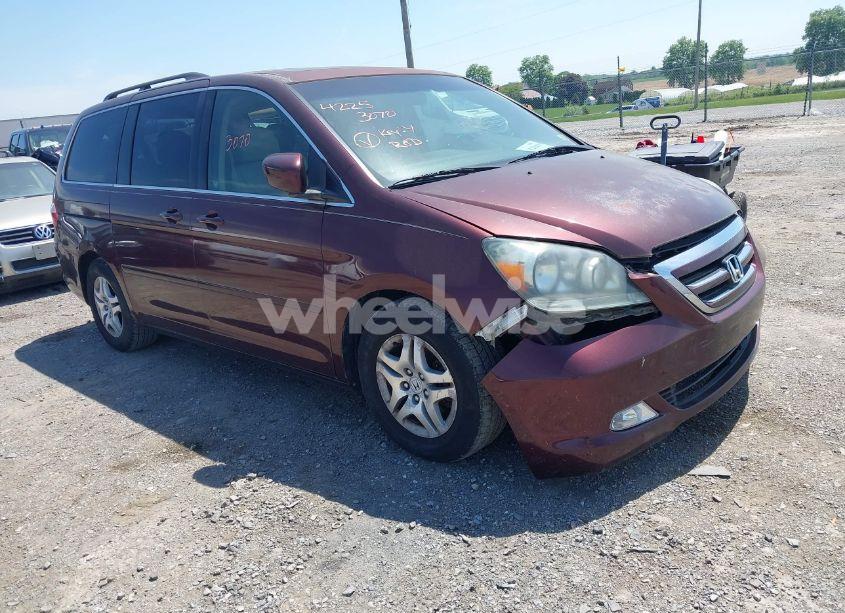 2007 Honda Odyssey EX-L (VIN 5FNRL38717B455291) main photo