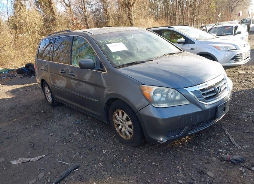 2008 Honda Odyssey EXL (VIN 5FNRL38718B012544) main photo