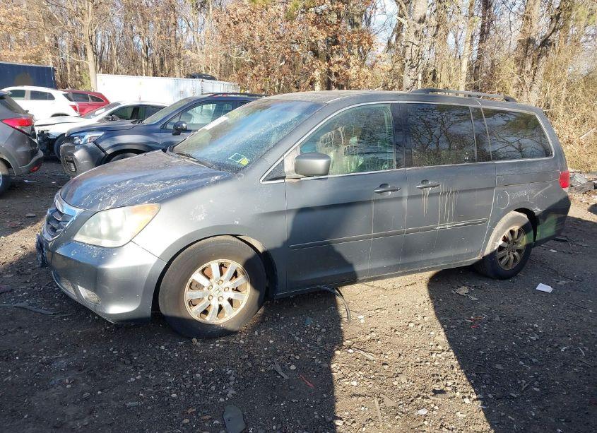 Photo 14 of 2008 Honda Odyssey EXL (VIN 5FNRL38718B012544)