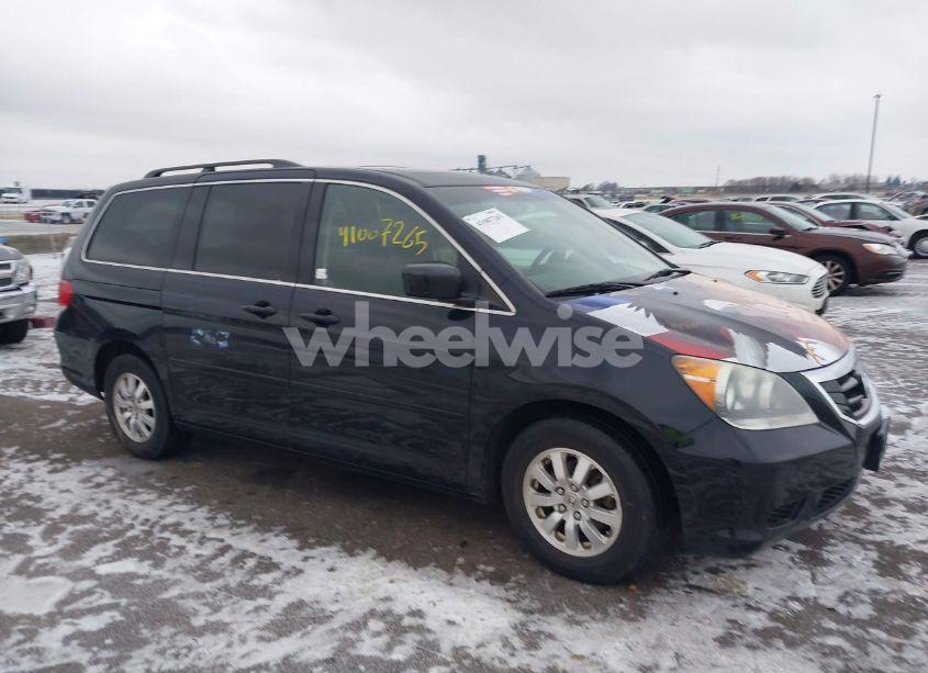 2008 Honda Odyssey EX-L (VIN 5FNRL38718B027402) main photo