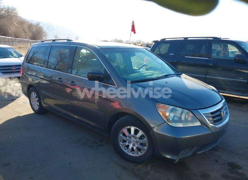 2008 Honda Odyssey EX-L (VIN 5FNRL38718B047262) main photo