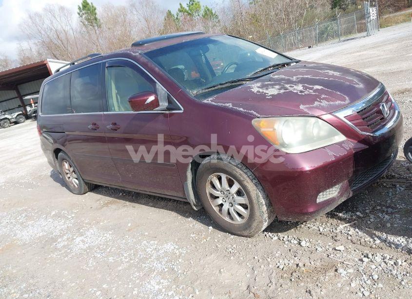 2008 Honda Odyssey EX-L (VIN 5FNRL38718B070380) main photo