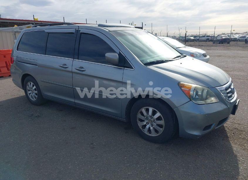 2008 Honda Odyssey EX-L (VIN 5FNRL38718B088331) main photo