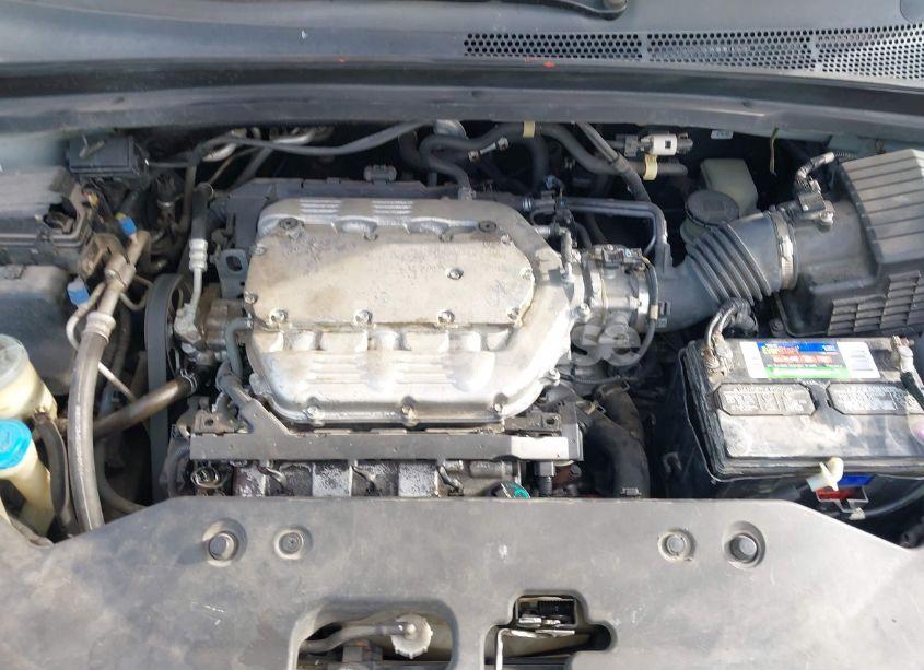 Photo 10 of 2008 Honda Odyssey EX-L (VIN 5FNRL38718B088331)