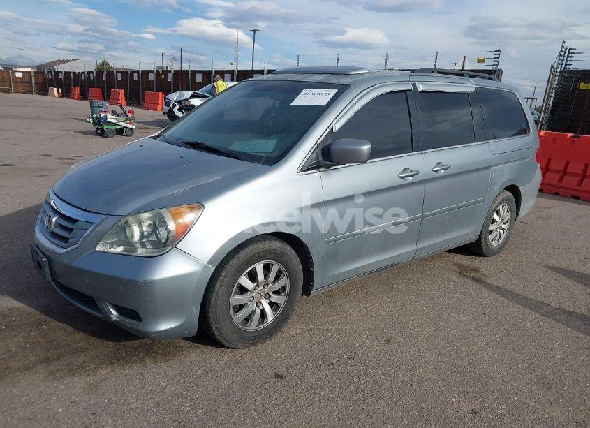 Photo 2 of 2008 Honda Odyssey EX-L (VIN 5FNRL38718B088331)