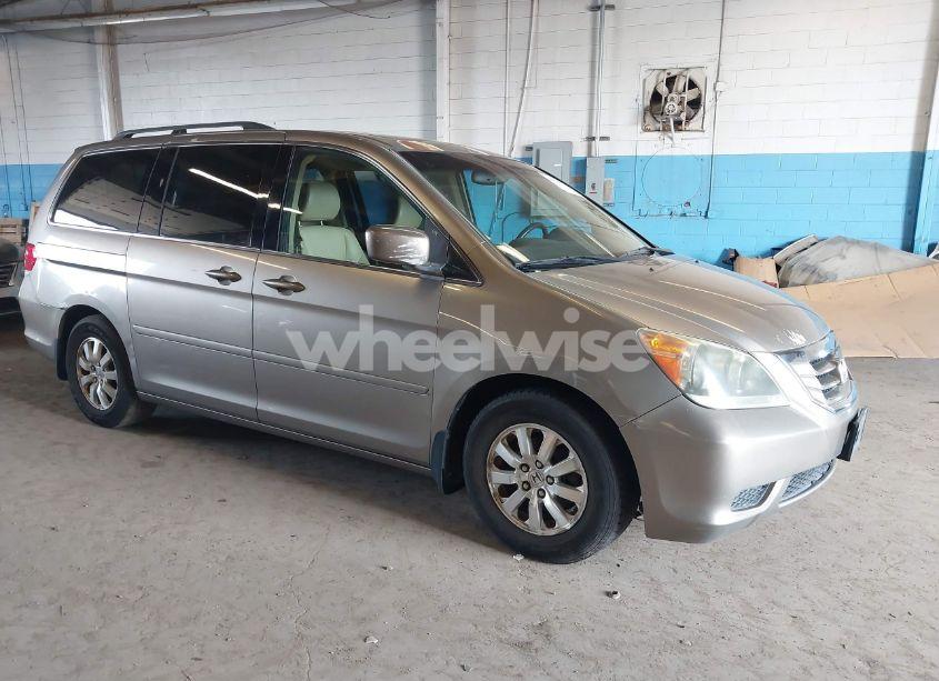 2008 Honda Odyssey EX-L (VIN 5FNRL38718B115107) main photo