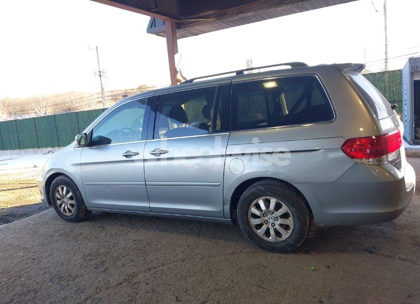 Photo 14 of 2009 Honda Odyssey EX-L (VIN 5FNRL38719B006518)