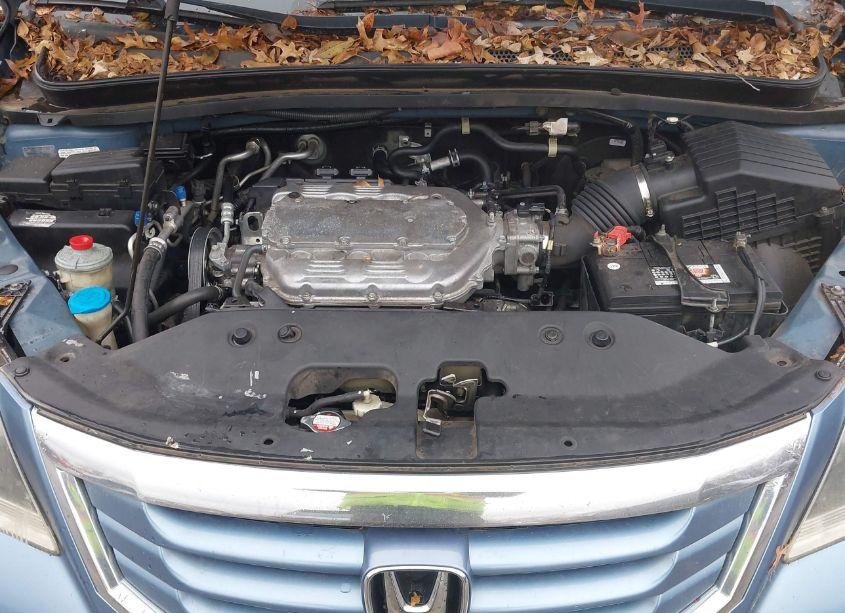 Photo 10 of 2009 Honda Odyssey EX-L (VIN 5FNRL38719B024288)