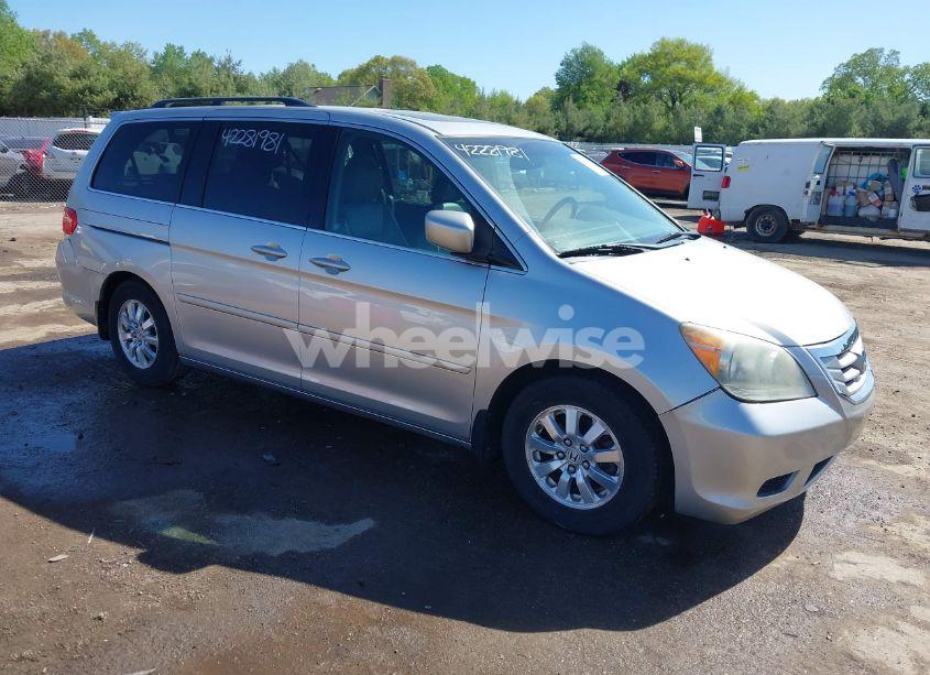 2009 Honda Odyssey EX-L (VIN 5FNRL38719B055699) main photo