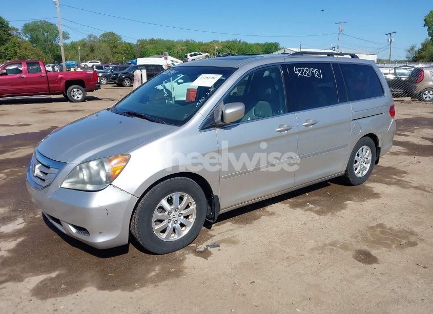 Photo 2 of 2009 Honda Odyssey EX-L (VIN 5FNRL38719B055699)