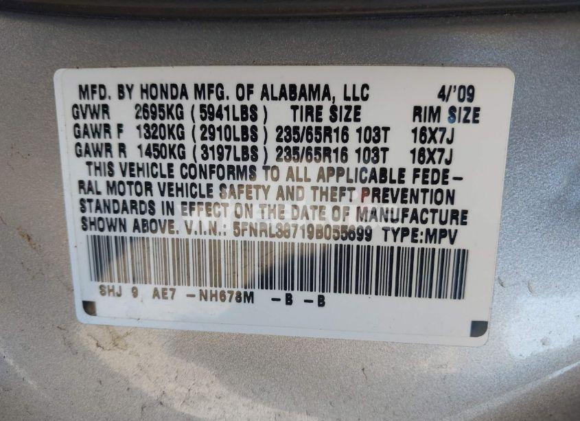 Photo 9 of 2009 Honda Odyssey EX-L (VIN 5FNRL38719B055699)