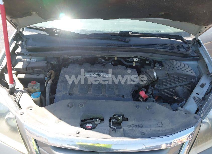 Photo 10 of 2009 Honda Odyssey EX-L (VIN 5FNRL38719B056853)