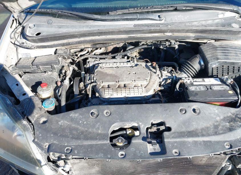 Photo 10 of 2005 Honda Odyssey EX-L (VIN 5FNRL38725B022804)