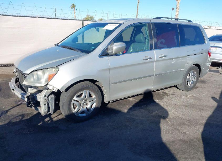 Photo 14 of 2005 Honda Odyssey EX-L (VIN 5FNRL38725B022804)