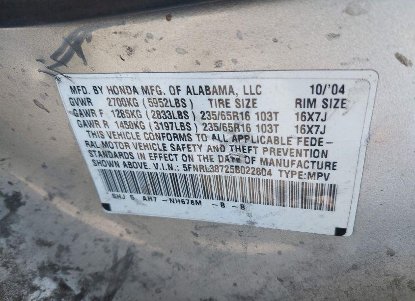 Photo 9 of 2005 Honda Odyssey EX-L (VIN 5FNRL38725B022804)