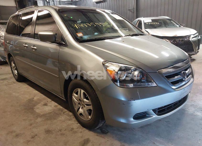 2005 Honda Odyssey EX-L (VIN 5FNRL38725B094005) main photo