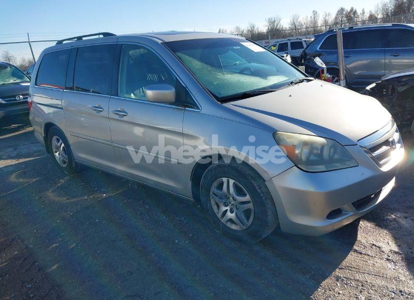 2005 Honda Odyssey EX-L (VIN 5FNRL38725B103933) main photo