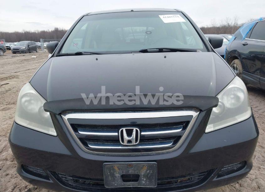 Photo 12 of 2005 Honda Odyssey EX-L (VIN 5FNRL38725B115788)