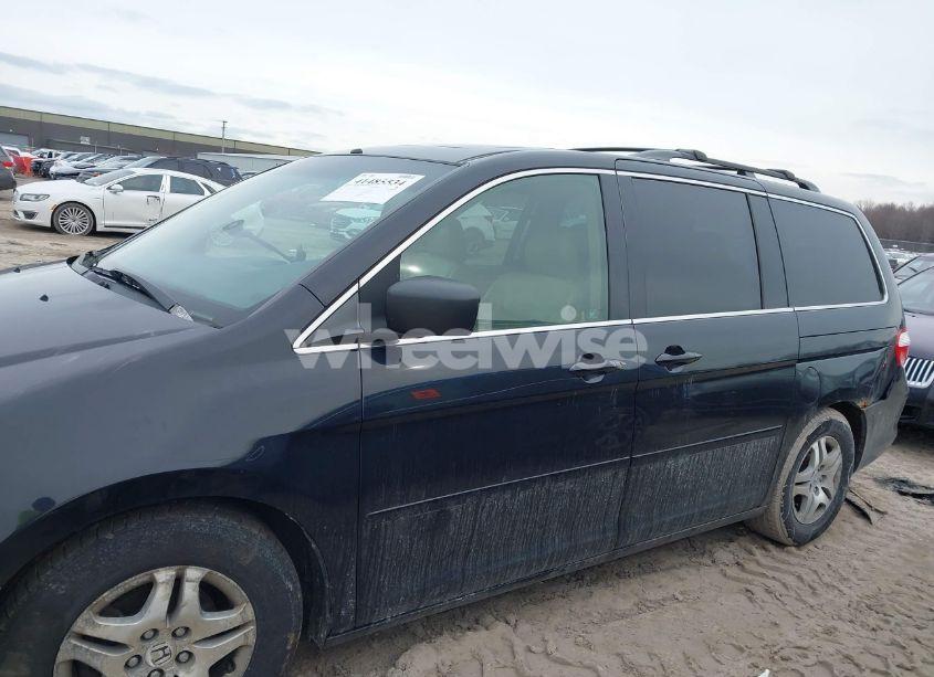 Photo 14 of 2005 Honda Odyssey EX-L (VIN 5FNRL38725B115788)