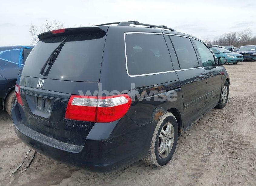 Photo 4 of 2005 Honda Odyssey EX-L (VIN 5FNRL38725B115788)