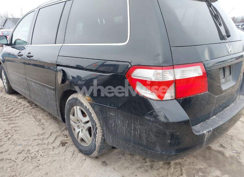 Photo 6 of 2005 Honda Odyssey EX-L (VIN 5FNRL38725B115788)