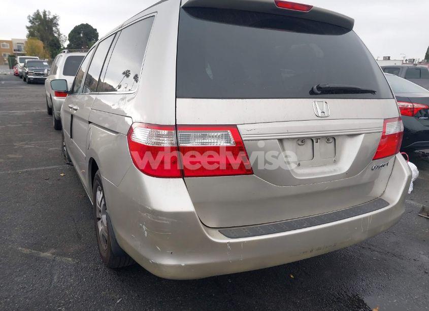 Photo 3 of 2006 Honda Odyssey EX-L (VIN 5FNRL38726B028524)