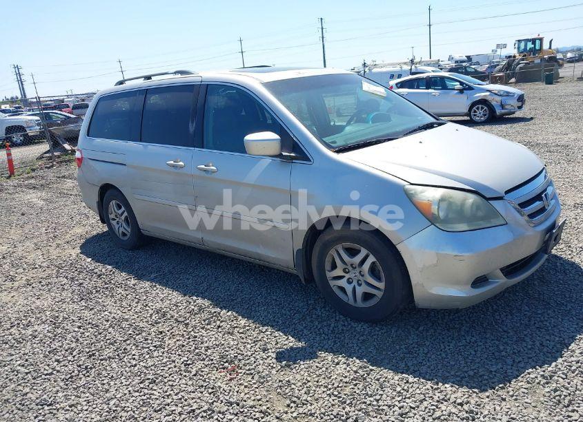 2006 Honda Odyssey EX-L (VIN 5FNRL38726B424923) main photo