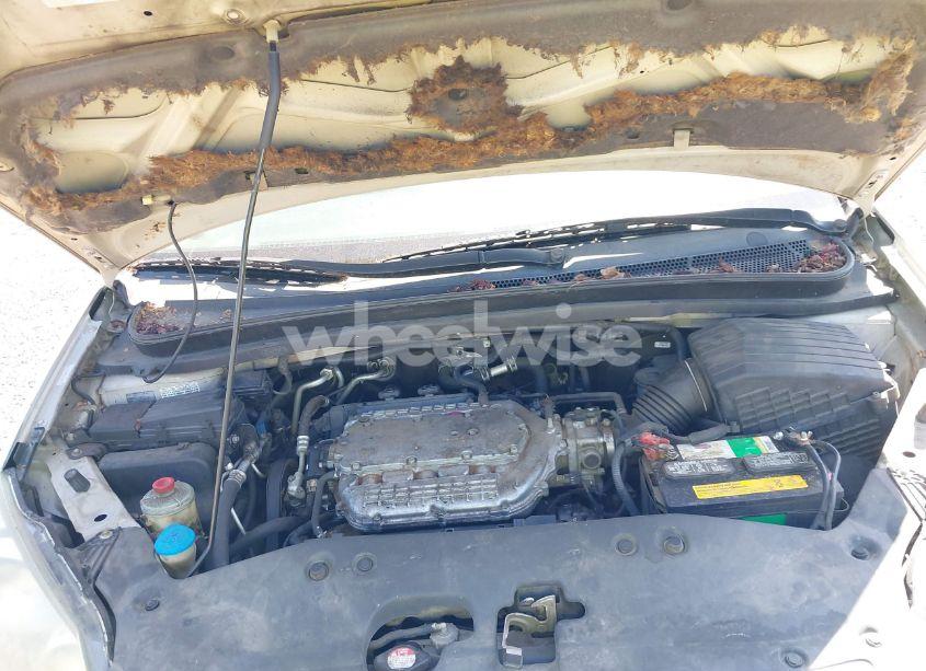 Photo 10 of 2006 Honda Odyssey EX-L (VIN 5FNRL38726B424923)