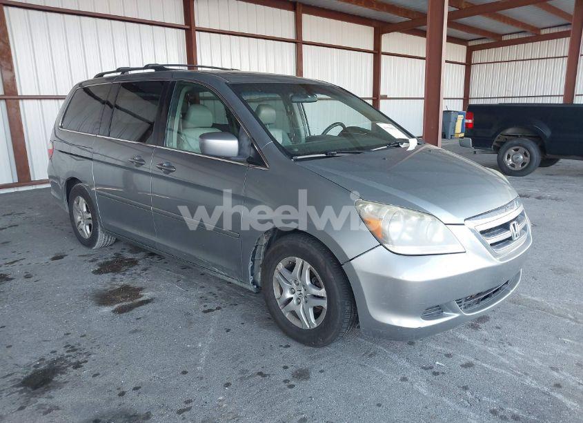 2007 Honda Odyssey EX-L (VIN 5FNRL38727B065705) main photo