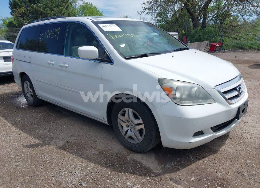 2007 Honda Odyssey EX-L (VIN 5FNRL38727B136000) main photo