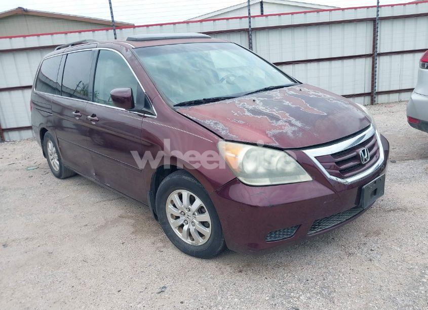 2008 Honda Odyssey EX-L (VIN 5FNRL38728B098625) main photo