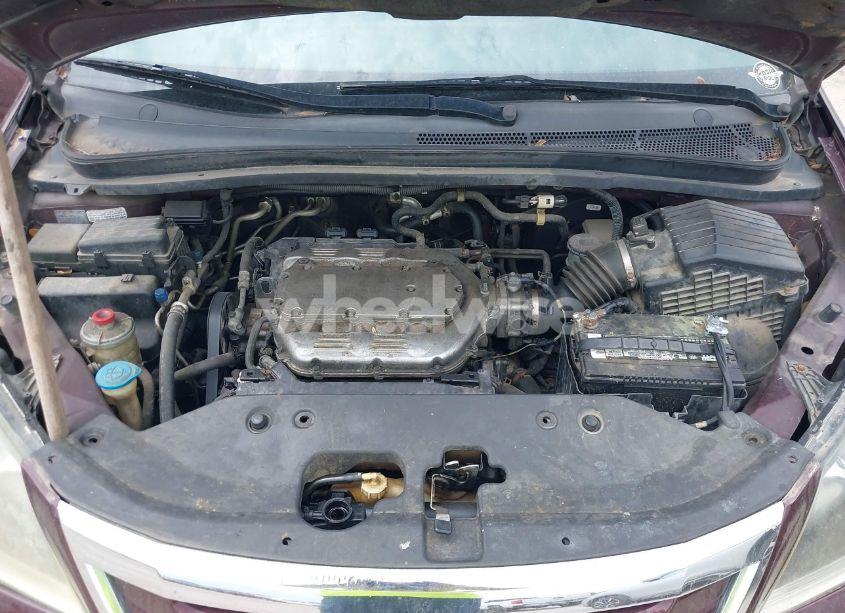 Photo 10 of 2008 Honda Odyssey EX-L (VIN 5FNRL38728B098625)