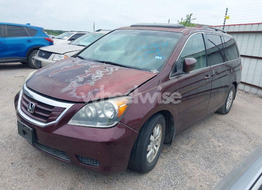 Photo 2 of 2008 Honda Odyssey EX-L (VIN 5FNRL38728B098625)