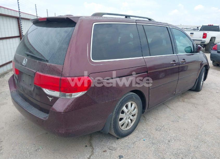 Photo 4 of 2008 Honda Odyssey EX-L (VIN 5FNRL38728B098625)