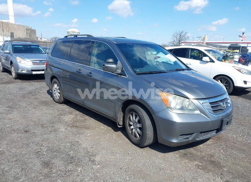 2009 Honda Odyssey EX-L (VIN 5FNRL38729B020539) main photo